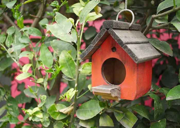 Bed & Breakfast Colibri *