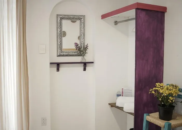 Bed & Breakfast Colibri Mexico City