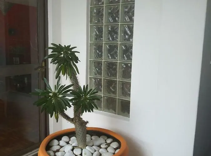 Bed & Breakfast Colibri