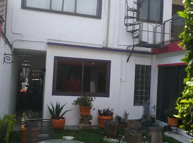 Colibri * Mexico City