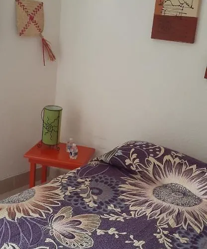 Colibri Bed & Breakfast Mexico City